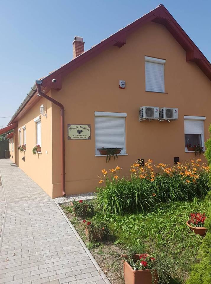 Boroka Vendeghaz Turkeve Hotel Luaran gambar